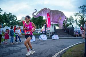 BIB: 
                            <button type="button" onclick="openModal(26551719)" class="btn btn-primary btn-sm float-right btn-popup" data-toggle="modal" data-target=".modal-high-quality">
                        <i class="fas fa-shopping-cart"></i> Add to Cart
                    </button>
                                            <button type="button" onclick="isThisMe(26551719, true)" class="btn btn-success btn-sm float-right btn-popup btn-isme hidden" data-toggle="tooltip" data-placement="bottom" title="นี่คือรูปของคุณใช่ไหม คลิกที่นี่เพื่อเอาเข้าอัลบั้ม">
                        <i class="fas fa-plus"></i> Add to album
                    </button>
                    <button type="button" onclick="isThisMe(26551719, false)" class="btn btn-warning btn-sm float-right btn-popup btn-isnotme hidden">
                        <i class="fas fa-ban"></i> Remove from album
                    </button>